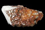 Nailhead Spar Calcite after Dogtooth Calcite - China #161501-1
